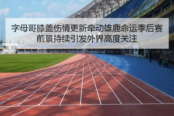 字母哥膝盖伤情更新牵动雄鹿命运季后赛前景持续引发外界高度关注