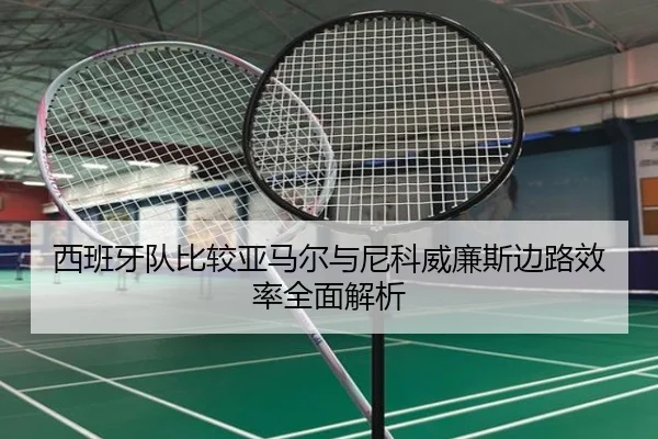 西班牙队比较亚马尔与尼科威廉斯边路效率全面解析